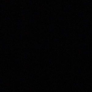 Meet your Posher, Patty